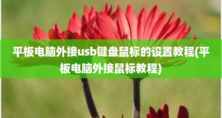 平板电脑外接usb键盘鼠标的设置教程(平板电脑外接鼠标教程)