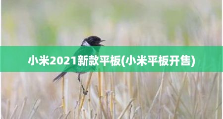 小米2021新款平板(小米平板开售)