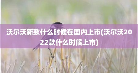 沃尔沃新款什么时候在国内上市(沃尔沃2022款什么时候上市)