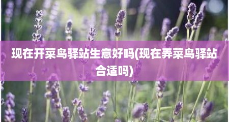 现在开菜鸟驿站生意好吗(现在弄菜鸟驿站合适吗)