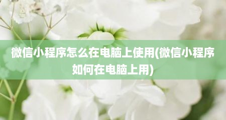微信小程序怎么在电脑上使用(微信小程序如何在电脑上用)