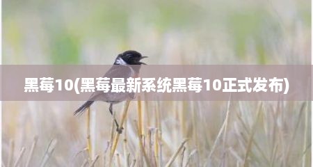 黑莓10(黑莓最新系统黑莓10正式发布)