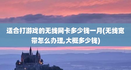 适合打游戏的无线网卡多少钱一月(无线宽带怎么办理,大概多少钱)