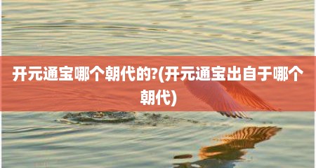 开元通宝哪个朝代的?(开元通宝出自于哪个朝代)