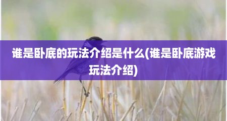 谁是卧底的玩法介绍是什么(谁是卧底游戏玩法介绍)