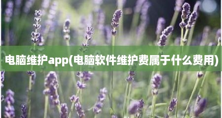 电脑维护app(电脑软件维护费属于什么费用)