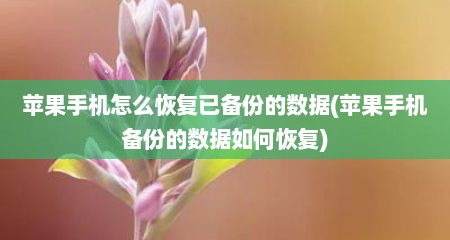 苹果手机怎么恢复已备份的数据(苹果手机备份的数据如何恢复)
