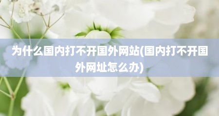 为什么国内打不开国外网站(国内打不开国外网址怎么办)