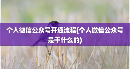 个人微信公众号开通流程(个人微信公众号是干什么的)