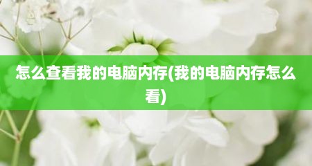 怎么查看我的电脑内存(我的电脑内存怎么看)