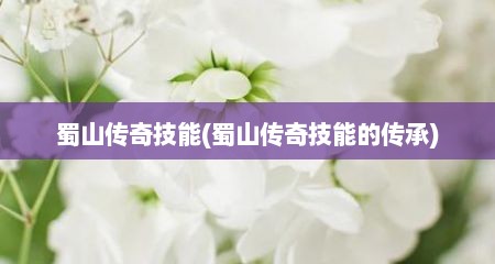 蜀山传奇技能(蜀山传奇技能的传承)