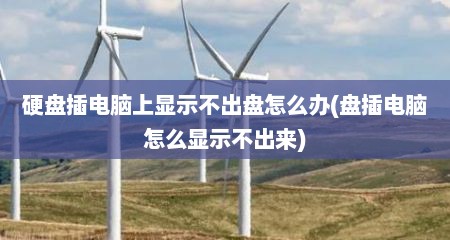 硬盘插电脑上显示不出盘怎么办(盘插电脑怎么显示不出来)