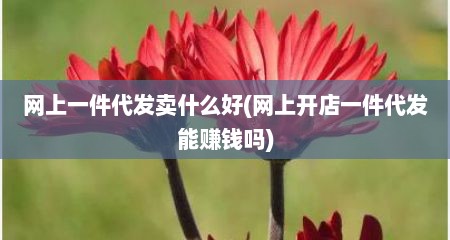 网上一件代发卖什么好(网上开店一件代发能赚钱吗)