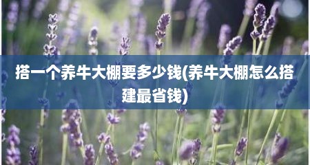 搭一个养牛大棚要多少钱(养牛大棚怎么搭建最省钱)