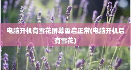 电脑开机有雪花屏幕重启正常(电脑开机后有雪花)