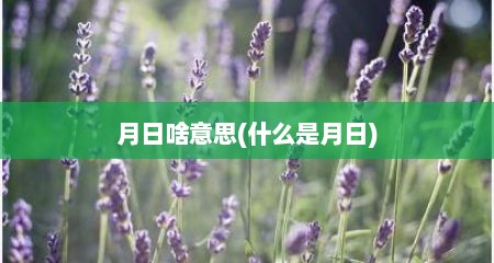 月日啥意思(什么是月日)