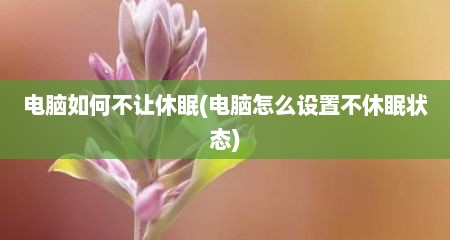 电脑如何不让休眠(电脑怎么设置不休眠状态)