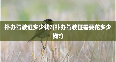 补办驾驶证多少钱?(补办驾驶证需要花多少钱?)