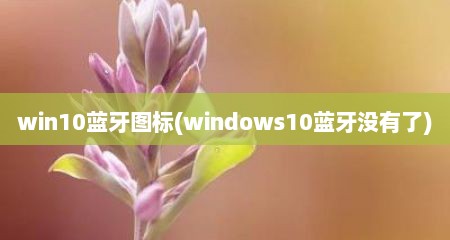 win10蓝牙图标(windows10蓝牙没有了)