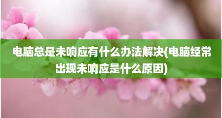 电脑总是未响应有什么办法解决(电脑经常出现未响应是什么原因)