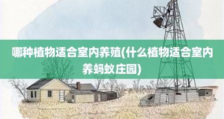 哪种植物适合室内养殖(什么植物适合室内养蚂蚁庄园)