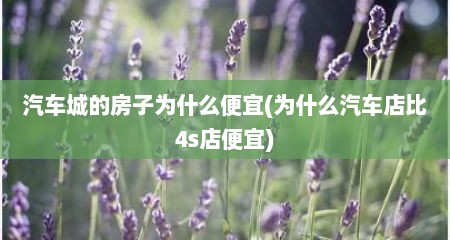 汽车城的房子为什么便宜(为什么汽车店比4s店便宜)