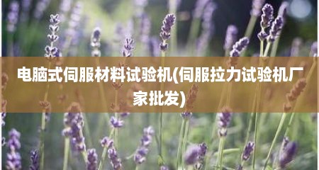 电脑式伺服材料试验机(伺服拉力试验机厂家批发)