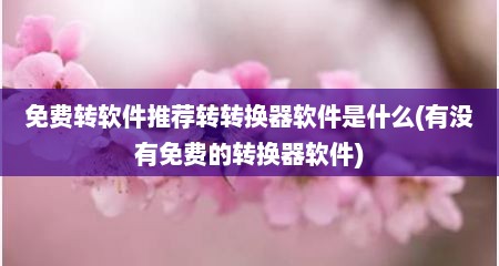 免费转软件推荐转转换器软件是什么(有没有免费的转换器软件)