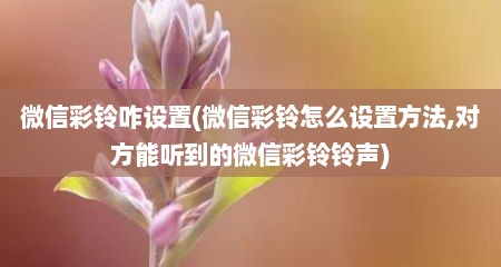 微信彩铃咋设置(微信彩铃怎么设置方法,对方能听到的微信彩铃铃声)