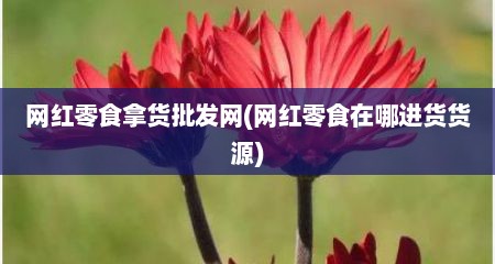 网红零食拿货批发网(网红零食在哪进货货源)