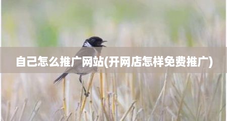 自己怎么推广网站(开网店怎样免费推广)