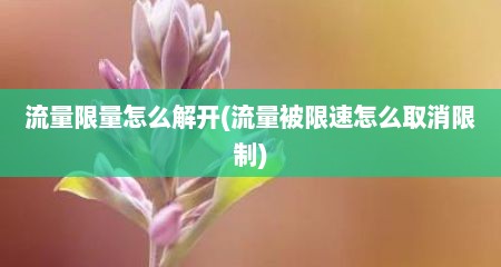 流量限量怎么解开(流量被限速怎么取消限制)