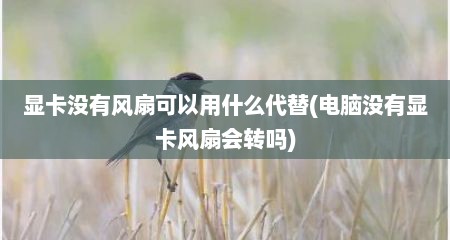 显卡没有风扇可以用什么代替(电脑没有显卡风扇会转吗)