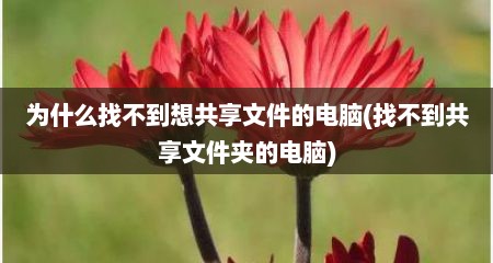 为什么找不到想共享文件的电脑(找不到共享文件夹的电脑)