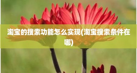 淘宝的搜索功能怎么实现(淘宝搜索条件在哪)