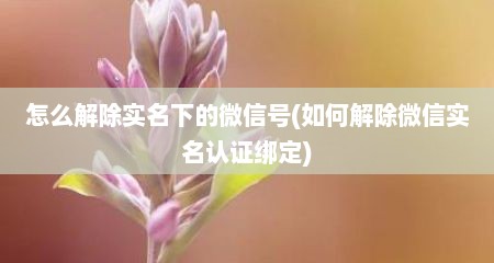 怎么解除实名下的微信号(如何解除微信实名认证绑定)