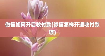 微信如何开启收付款(微信怎样开通收付款项)