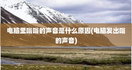 电脑里嗡嗡的声音是什么原因(电脑发出嗡的声音)
