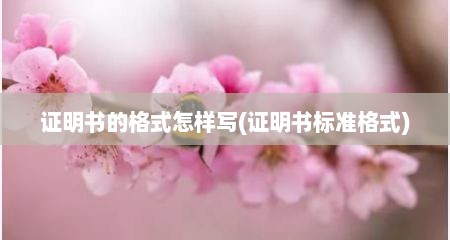 证明书的格式怎样写(证明书标准格式)