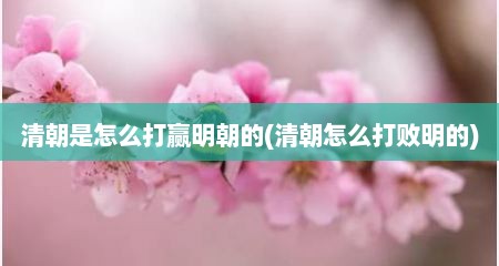 清朝是怎么打赢明朝的(清朝怎么打败明的)