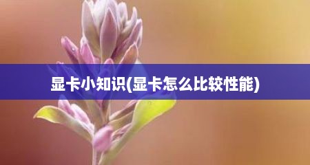 显卡小知识(显卡怎么比较性能)