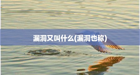 漏洞又叫什么(漏洞也称)