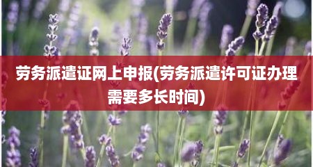 劳务派遣证网上申报(劳务派遣许可证办理需要多长时间)
