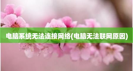 电脑系统无法连接网络(电脑无法联网原因)