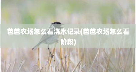 芭芭农场怎么看浇水记录(芭芭农场怎么看阶段)