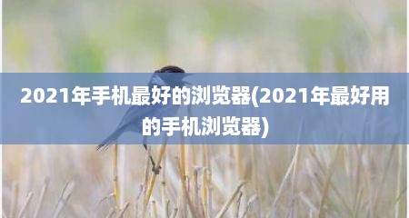 2021年手机最好的浏览器(2021年最好用的手机浏览器)