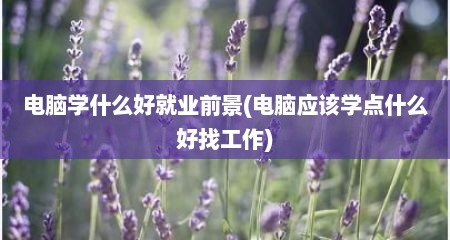 电脑学什么好就业前景(电脑应该学点什么好找工作)