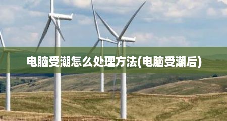 电脑受潮怎么处理方法(电脑受潮后)