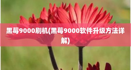 黑莓9000刷机(黑莓9000软件升级方法详解)