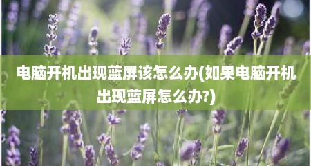 电脑开机出现蓝屏该怎么办(如果电脑开机出现蓝屏怎么办?)